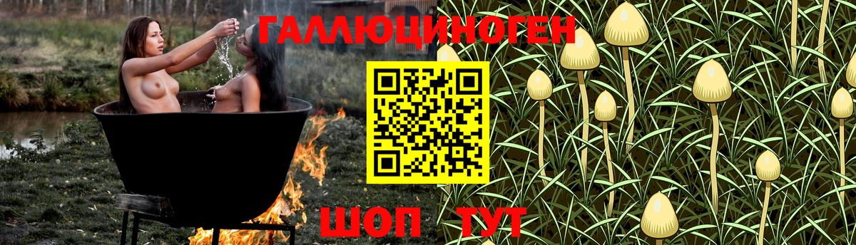 Псилоцибиновые грибы прущие грибы  Псилоцибиновые грибы прущие грибы  закладки  Вход с VPN  Печора 